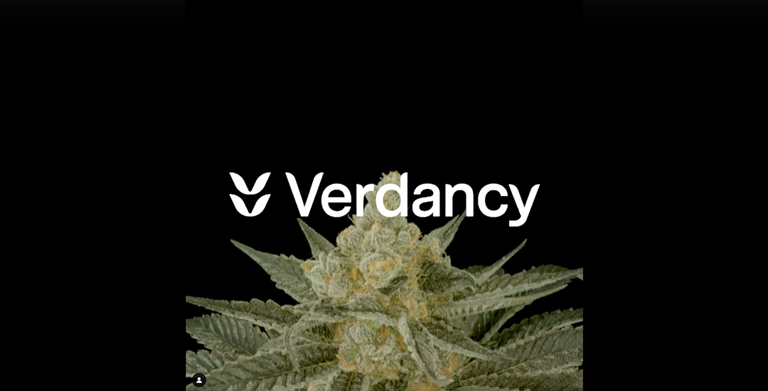 SM_Verdancy_5